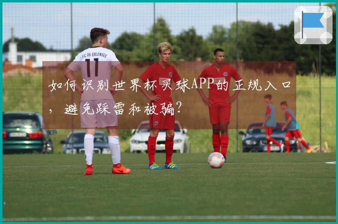 如何识别世界杯买球APP的正规入口，避免踩雷和被骗？