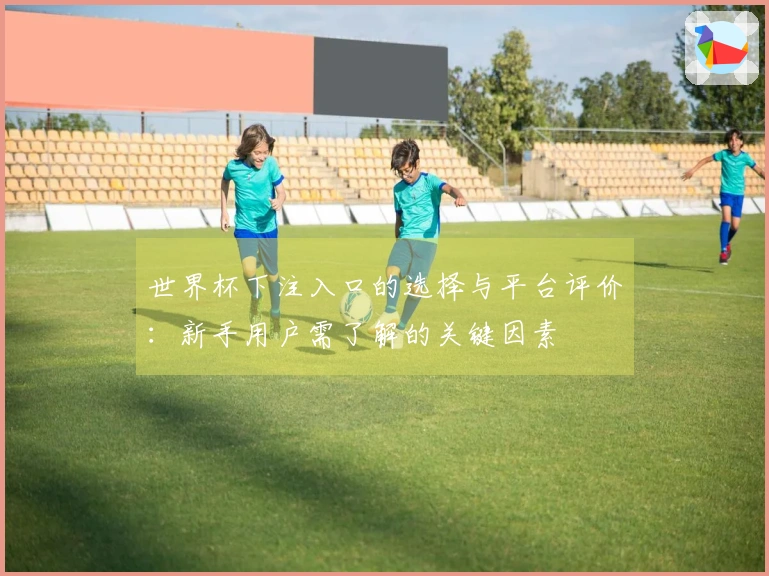 世界杯下注入口的选择与平台评价：新手用户需了解的关键因素