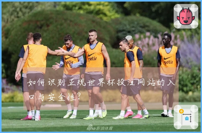 如何识别正规世界杯投注网站的入口与安全性？
