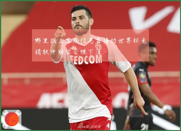 哪里找主客场信息靠谱的世界杯竞猜软件助你合理下注