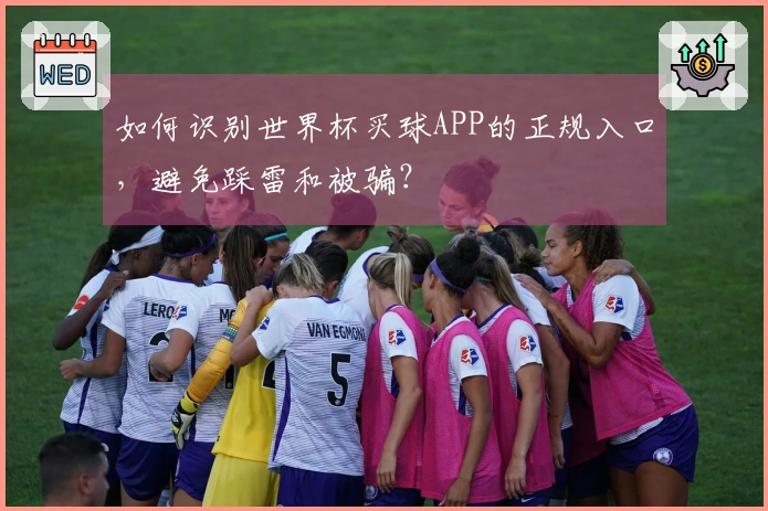 如何识别世界杯买球APP的正规入口，避免踩雷和被骗？